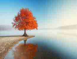 自‍动​缓‍存‌功﻿能‍有‌什﻿么‍用‌